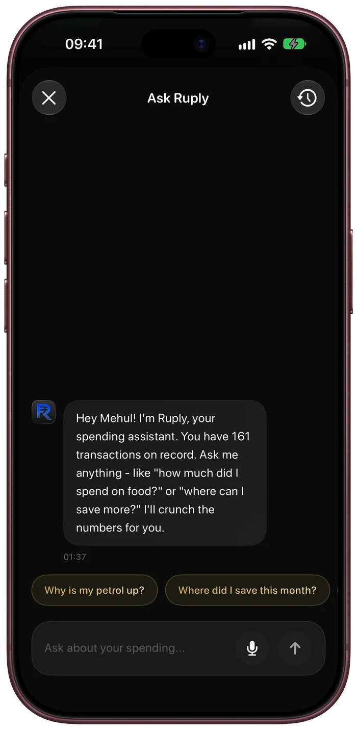 Ask Ruply about your money