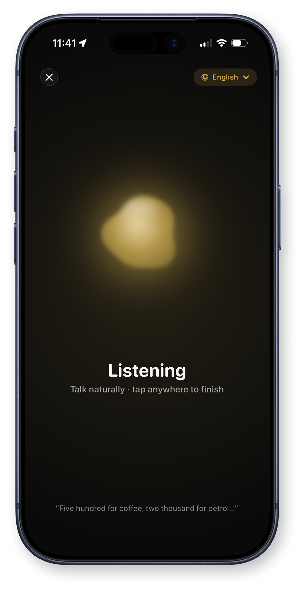 Log expenses by voice in Ruply