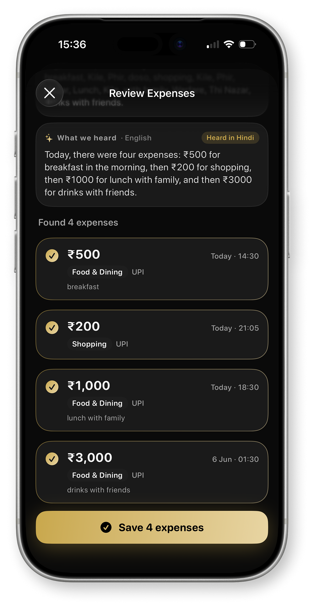 Review a voice-logged expense